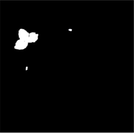 image-20230301174937691